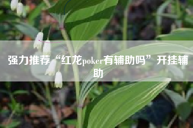 强力推荐“红龙poker有辅助吗”开挂辅助