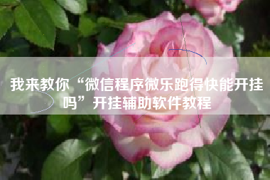 我来教你“微信程序微乐跑得快能开挂吗”开挂辅助软件教程