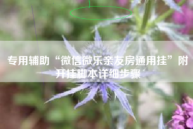 专用辅助“微信微乐亲友房通用挂”附开挂脚本详细步骤