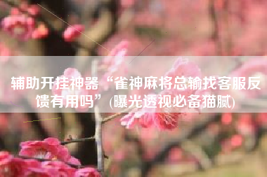 辅助开挂神器“雀神麻将总输找客服反馈有用吗”(曝光透视必备猫腻)