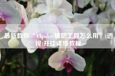 最新教你“AApoker辅助工具怎么用”(透视)开挂详细教程