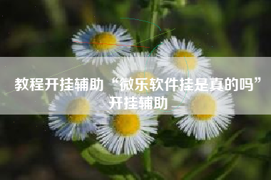 教程开挂辅助“微乐软件挂是真的吗”开挂辅助