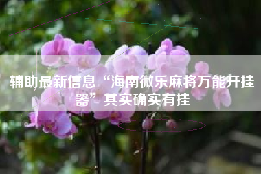 辅助最新信息“海南微乐麻将万能开挂器”其实确实有挂