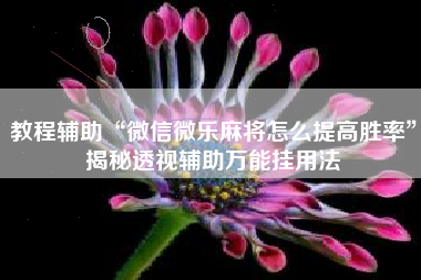 教程辅助“微信微乐麻将怎么提高胜率”揭秘透视辅助万能挂用法