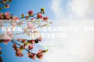 玩家必知“wepoker挂先试用后付款”附开挂脚本详细步骤