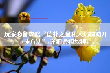 玩家必备攻略“德扑之星私人局辅助开挂方法”(详细透视教程)