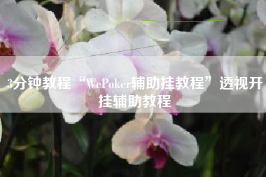 3分钟教程“WePoker辅助挂教程”透视开挂辅助教程