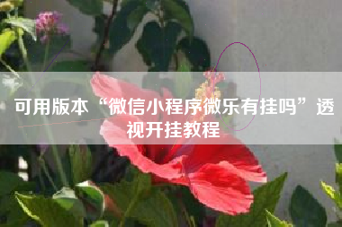 可用版本“微信小程序微乐有挂吗”透视开挂教程