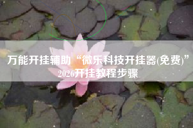 万能开挂辅助“微乐科技开挂器(免费)”2026开挂教程步骤