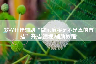 教程开挂辅助“微乐麻将是不是真的有挂”开挂(透视)辅助教程!