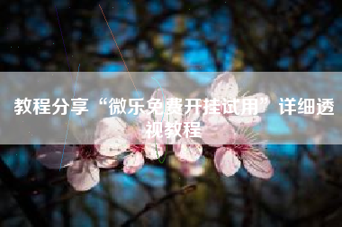 教程分享“微乐免费开挂试用”详细透视教程