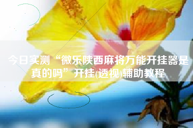 今日实测“微乐陕西麻将万能开挂器是真的吗”开挂(透视)辅助教程