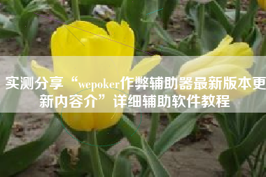 实测分享“wepoker作弊辅助器最新版本更新内容介	”详细辅助软件教程