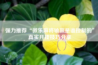 强力推荐“微乐麻将输赢是谁控制的	”真实开挂技巧分享