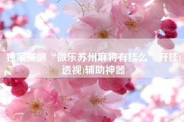 独家实测“微乐苏州麻将有挂么”开挂(透视)辅助神器