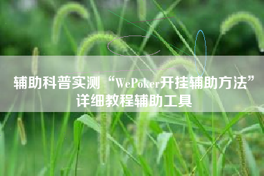 辅助科普实测“WePoker开挂辅助方法	”详细教程辅助工具