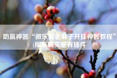 助赢神器“微乐捉老麻子开挂神器教程	”(原来确实是有插件