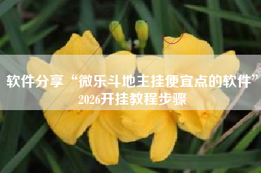 软件分享“微乐斗地主挂便宜点的软件”2026开挂教程步骤