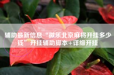 辅助最新信息“微乐北京麻将开挂多少钱”开挂辅助脚本+详细开挂