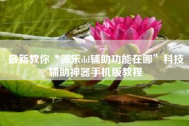 最新教你“微乐dd辅助功能在哪”科技辅助神器手机版教程