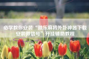 必学教你安装“微乐麻将外卦神器下载安装微信号”开挂辅助教程