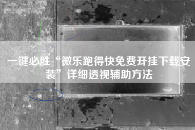 一键必胜“微乐跑得快免费开挂下载安装”详细透视辅助方法