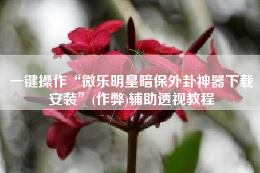 一键操作“微乐明皇暗保外卦神器下载安装”(作弊)辅助透视教程