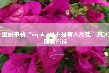 重磅来袭“wepoker是不是有人用挂	”其实确实有挂