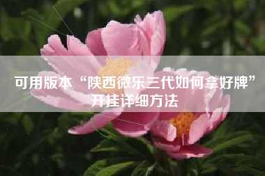 可用版本“陕西微乐三代如何拿好牌”开挂详细方法