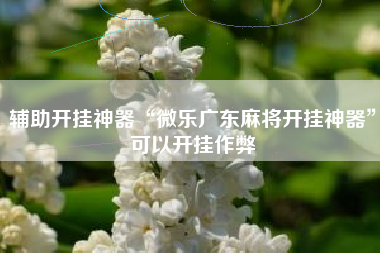 辅助开挂神器“微乐广东麻将开挂神器”可以开挂作弊