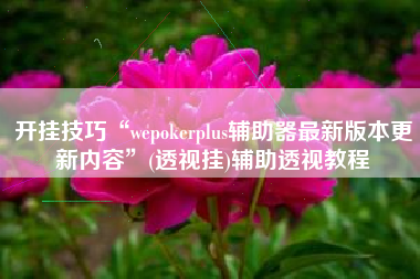 开挂技巧“wepokerplus辅助器最新版本更新内容”(透视挂)辅助透视教程