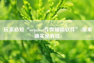 玩家必知“wepoker作弊辅助软件”(原来确实是有挂)