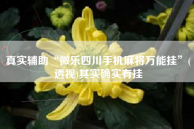 真实辅助“微乐四川手机麻将万能挂”(透视)其实确实有挂