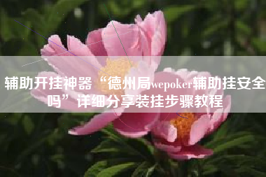 辅助开挂神器“德州局wepoker辅助挂安全吗	”详细分享装挂步骤教程