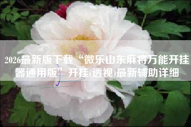 2026最新版下载“微乐山东麻将万能开挂器通用版”开挂(透视)最新辅助详细