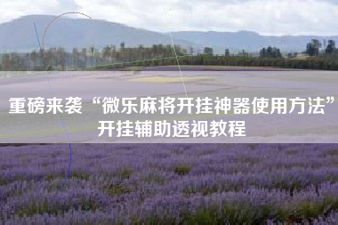 重磅来袭“微乐麻将开挂神器使用方法”开挂辅助透视教程