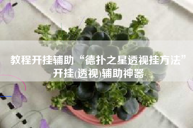 教程开挂辅助“德扑之星透视挂方法”开挂(透视)辅助神器