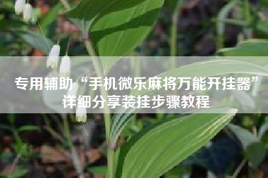 专用辅助“手机微乐麻将万能开挂器	”详细分享装挂步骤教程