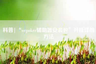 科普|“wepoker辅助器安装包”开挂详细方法