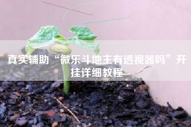 真实辅助“微乐斗地主有透视器吗”开挂详细教程