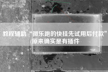 教程辅助“微乐跑的快挂先试用后付款”(原来确实是有插件