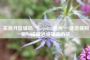 实测开挂辅助:“wepoker德州 一键透视购买”详细透视辅助方法