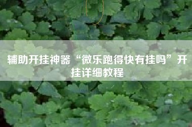 辅助开挂神器“微乐跑得快有挂吗”开挂详细教程
