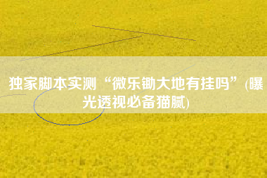 独家脚本实测“微乐锄大地有挂吗”(曝光透视必备猫腻)