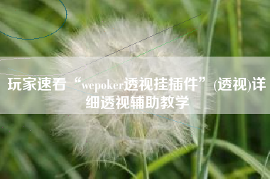 玩家速看“wepoker透视挂插件	”(透视)详细透视辅助教学