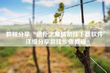 教程分享“德扑之星辅助挂下载软件”详细分享装挂步骤教程