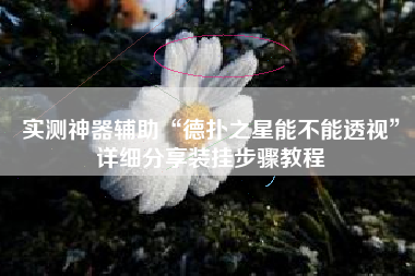 实测神器辅助“德扑之星能不能透视	”详细分享装挂步骤教程