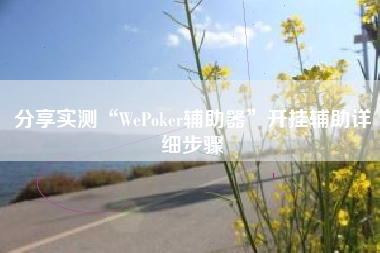 分享实测“WePoker辅助器”开挂辅助详细步骤