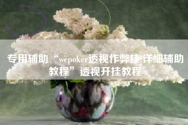 专用辅助“wepoker透视作弊挂!详细辅助教程”透视开挂教程