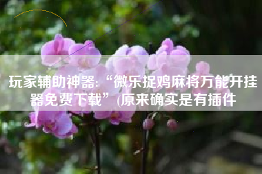 玩家辅助神器:“微乐捉鸡麻将万能开挂器免费下载”(原来确实是有插件